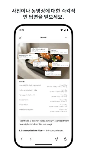 Meta AI screenshot