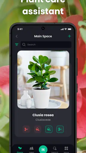 Plantin：식물이름찾기어플，식물 식별자 사진으로 screenshot
