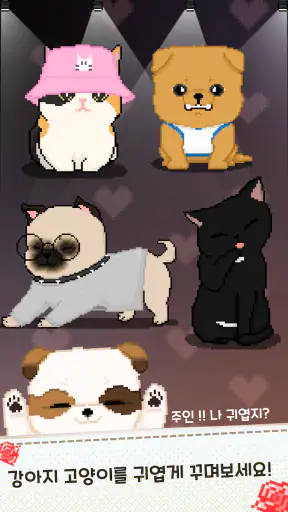 가족이되어주세요 - 강아지 고양이 키우기 screenshot