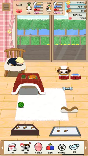가족이되어주세요 - 강아지 고양이 키우기 screenshot