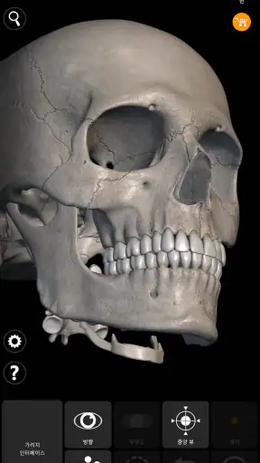 골격 | 3D 해부도 screenshot