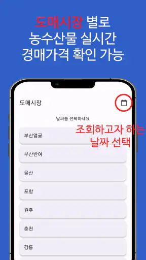 농수산물 실시간 경매 가격 정보 - 도매시장 screenshot