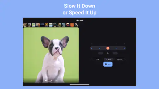 동영상 GIF 변환 - 움짤 만들기 screenshot