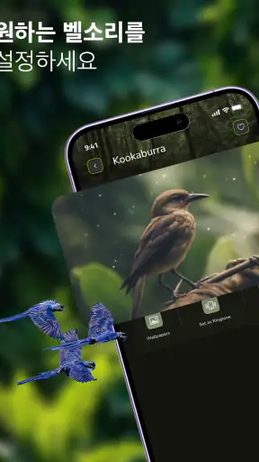 새 소리:벨소리 screenshot