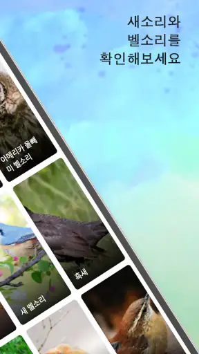 새소리 screenshot
