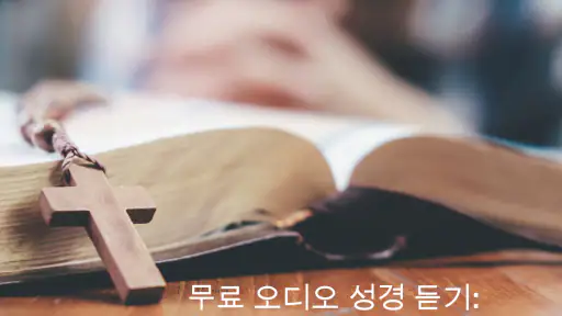 오디오 성경. 개역한글 성경 듣기 screenshot