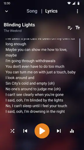 음악 플레이어 - mp3 음악 screenshot