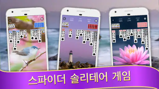 카드게임 - 스파이더카드놀이 screenshot