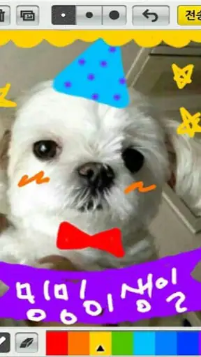 톡톡스케치 - 그림 그리기,손글씨,사진 꾸미기 screenshot