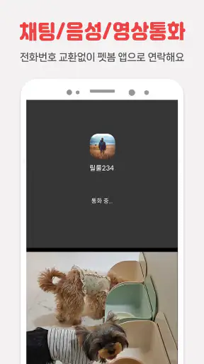펫시터, 전국 1등 검증된 펫시터, 가까워서 편리 저렴 screenshot