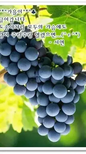 포토카드!mFun - 인사,문자 screenshot