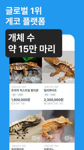 피들 screenshot