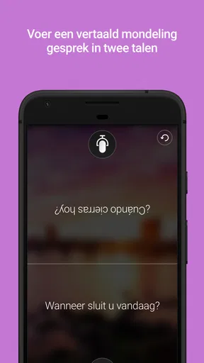 Microsoft Vertaler screenshot