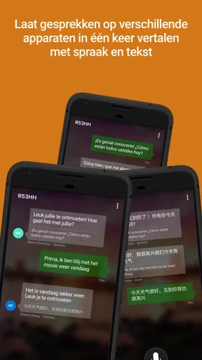 Microsoft Vertaler screenshot