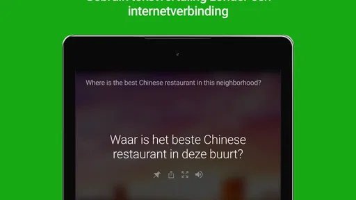 Microsoft Vertaler screenshot
