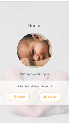 BabyHello Babagondozás 0-2 év screenshot