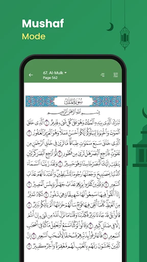 Al Quran (Tafsir & by Word) screenshot