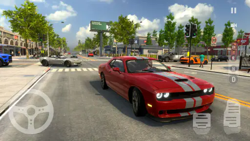 Auto Parkeer Rijschool -Online screenshot