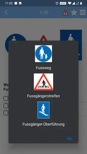 Auto Theorie Fahrlehrer24 screenshot