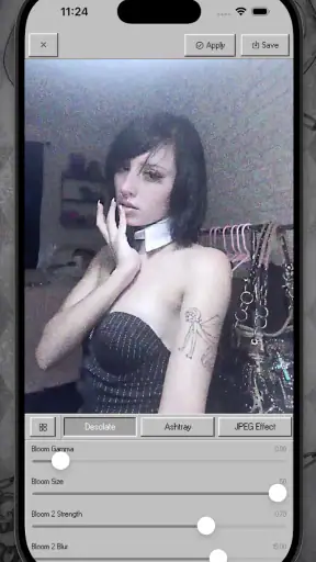 Bleach Bypass screenshot