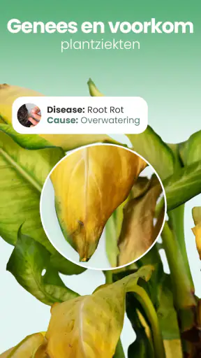 Blossom – Planten Herkennen screenshot