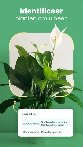 Blossom – Planten Herkennen screenshot