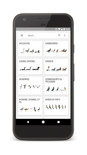 Collins Bird Guide screenshot