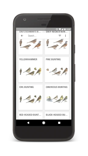 Collins Bird Guide screenshot