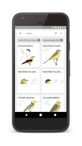 Collins Bird Guide screenshot