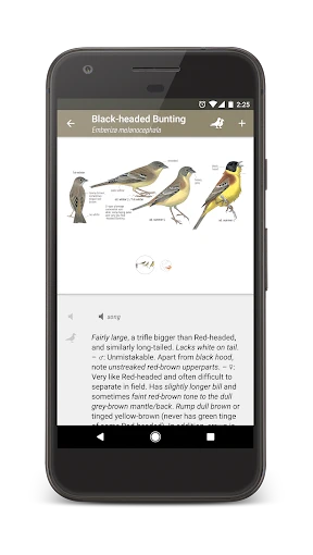 Collins Bird Guide screenshot