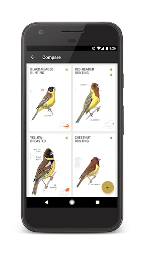 Collins Bird Guide screenshot