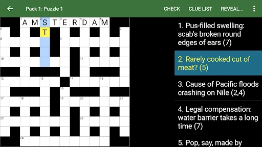 Cryptic Crossword screenshot