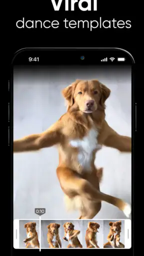 Dance AI: AI Dance Video Maker screenshot