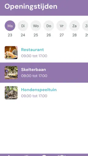 De Tovertuin screenshot
