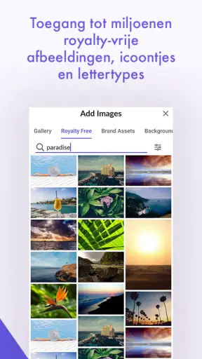 Desygner: Grafisch Ontwerper screenshot