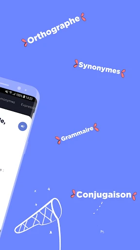 Dictionnaire Larousse français screenshot