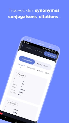 Dictionnaire Larousse français screenshot