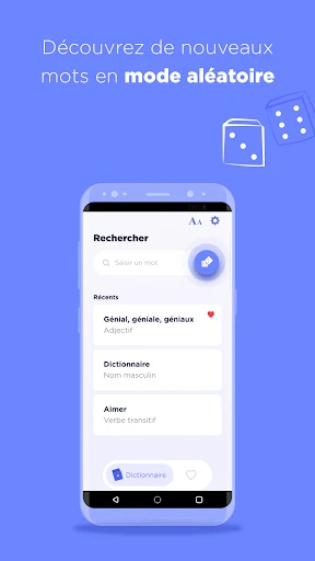 Dictionnaire Larousse français screenshot