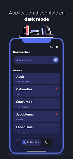 Dictionnaire Larousse français screenshot