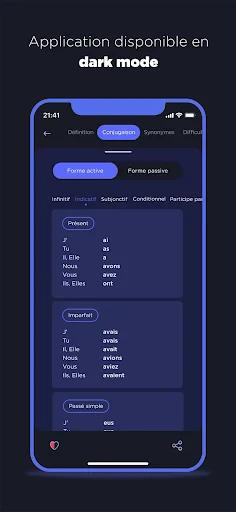 Dictionnaire Larousse français screenshot