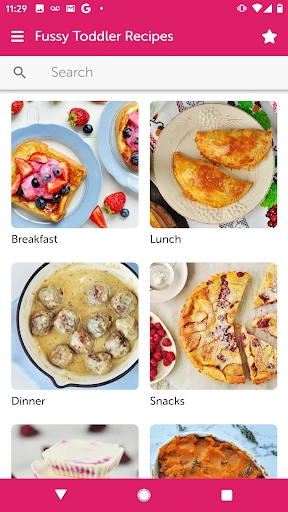 Fussy Toddler Recipes screenshot