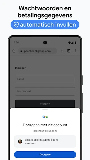 Google Chrome screenshot