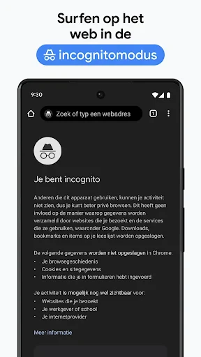 Google Chrome screenshot