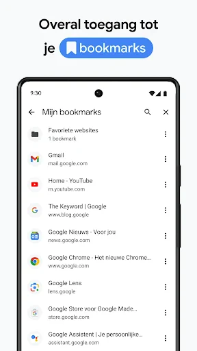 Google Chrome screenshot