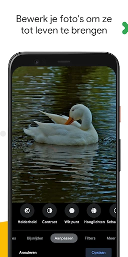 Google Foto's screenshot