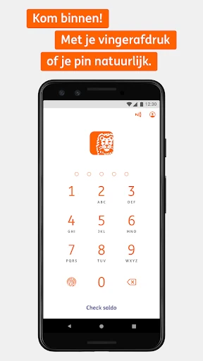 ING Bankieren screenshot