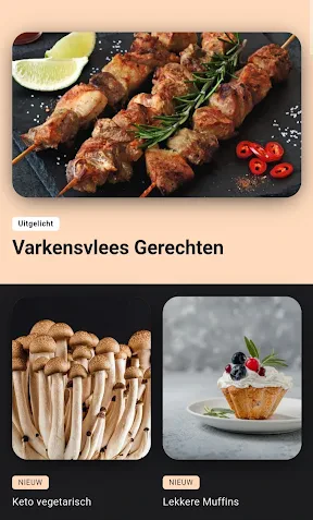 keto dieet recepten nederlands screenshot