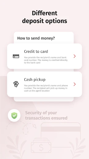 Korona Online Money Transfer screenshot