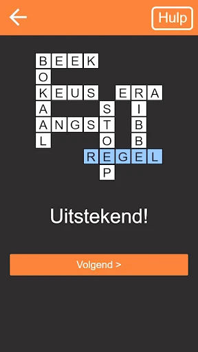 Kruiswoordpuzzel Nederlands screenshot