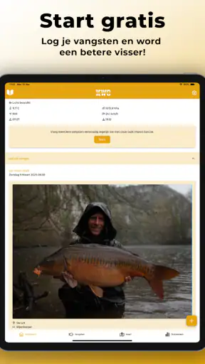 KWO Insights screenshot